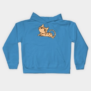 Shelter Cats - Orange Tabby Kids Hoodie